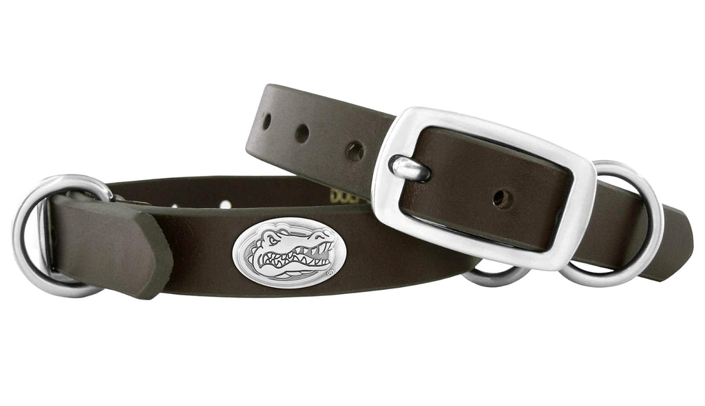 Florida Gators Brown Leather Small Dog Collar - NCAA