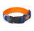 Florida Gators Ribbon Dog Collar - NCAA