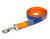 Florida Gators Ribbon Dog Leash - NCAA